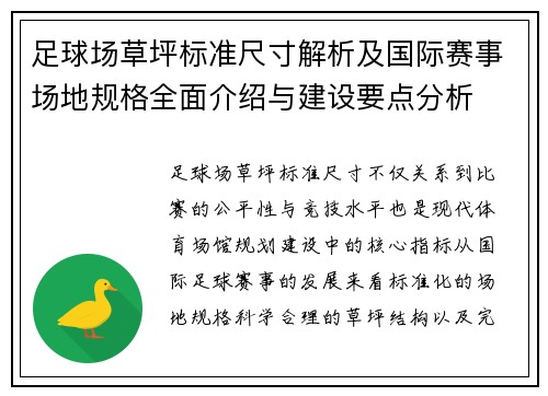 足球场草坪标准尺寸解析及国际赛事场地规格全面介绍与建设要点分析